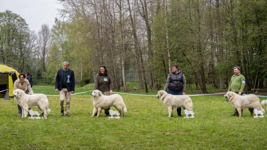 Klubová výstava Letohrádek svatý Vojtěch - 7.5.2022