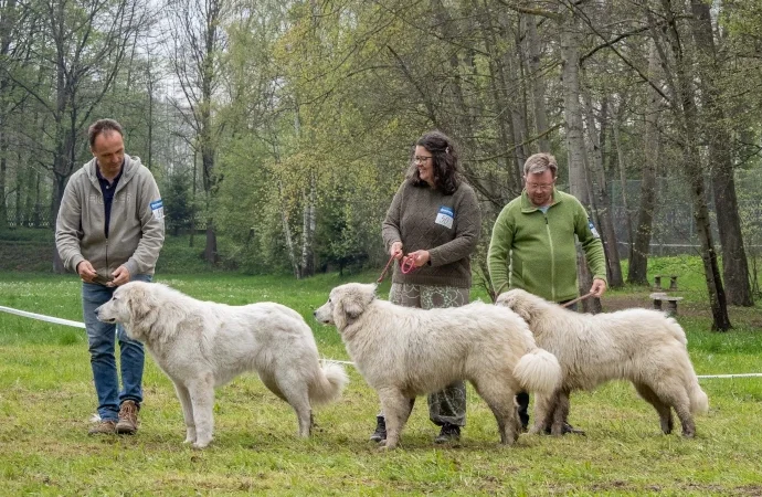 Klubová výstava Letohrádek svatý Vojtěch - 7.5.2022